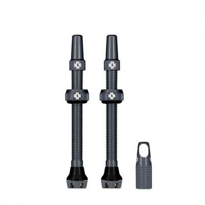 Valvole V2 per pneumatici tubeless - grigio - MTB & Road