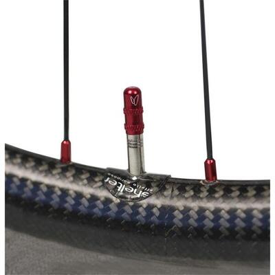 Kit di protezione adesiva Shelter Wheel (per valvola)