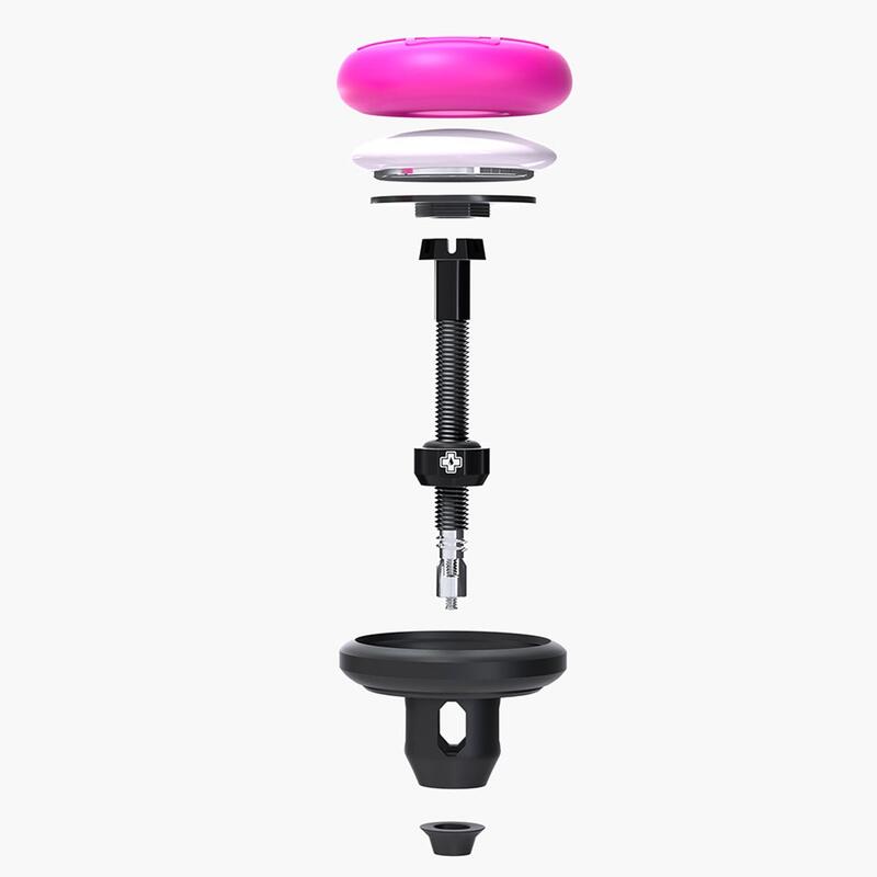 Tubeless Tag Holder & 44 mm Valves - noir