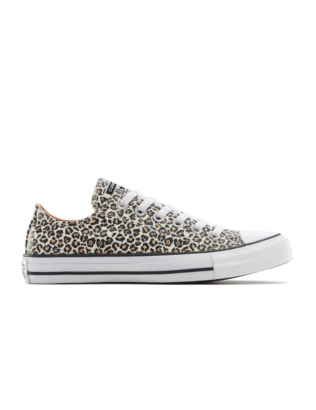 CONVERSE picture