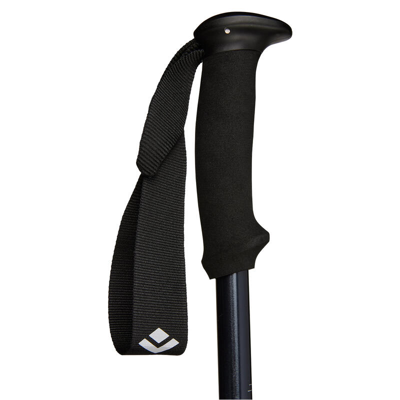 Kije trekkingowe Black Diamond Trail Explorer 2