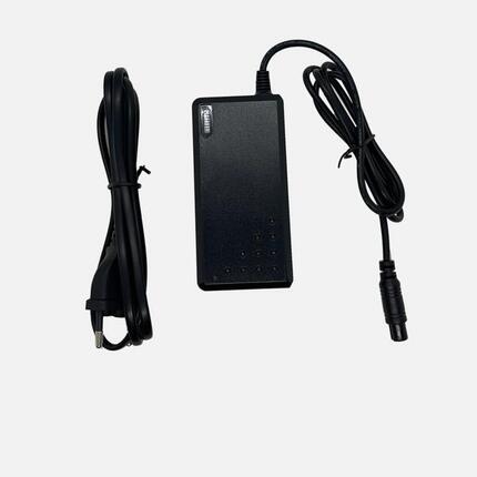 6911 42V Hoverboard-Ladegerät 2-Pin