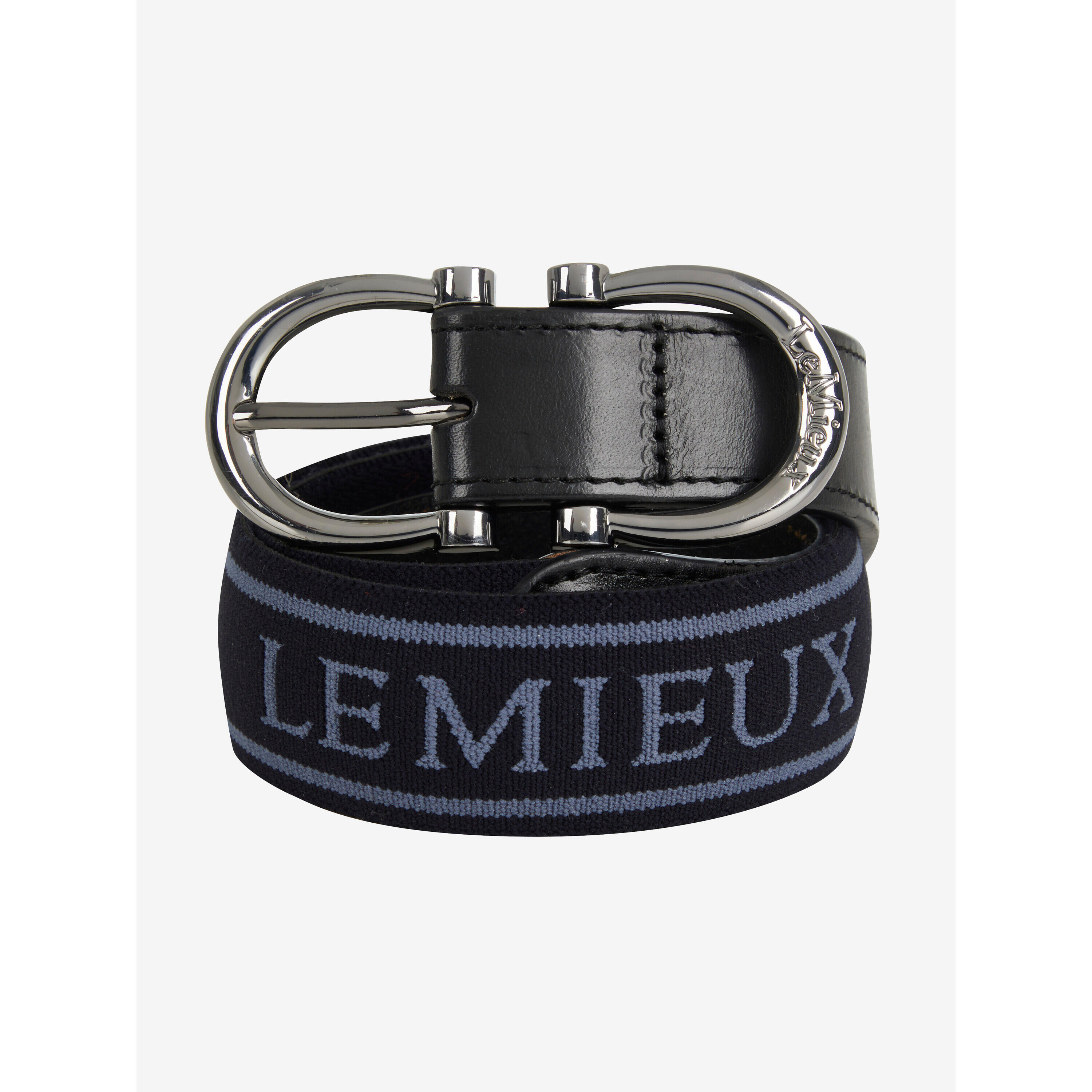 LEMIEUX picture