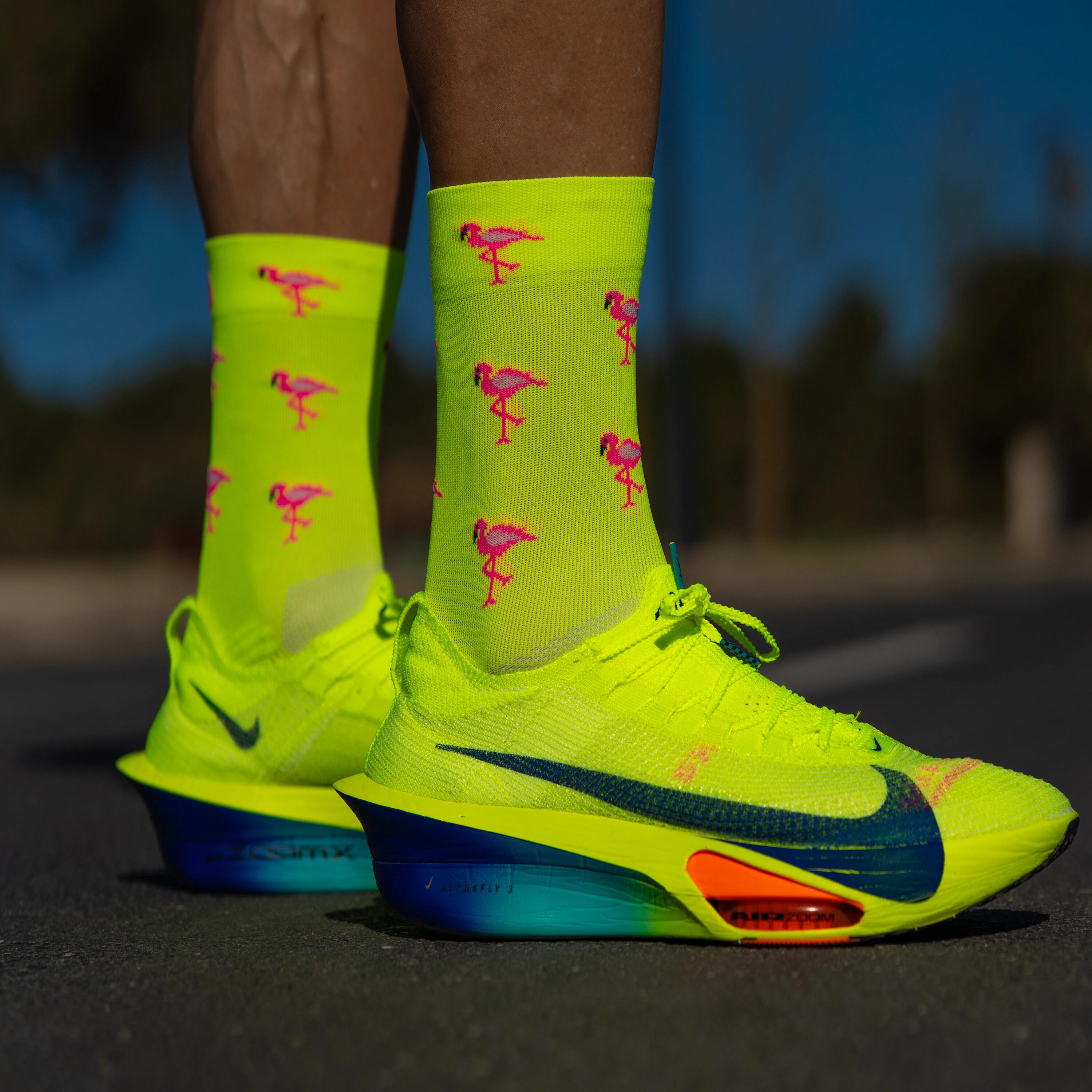 Calze Sporcks Flamingo 3/5