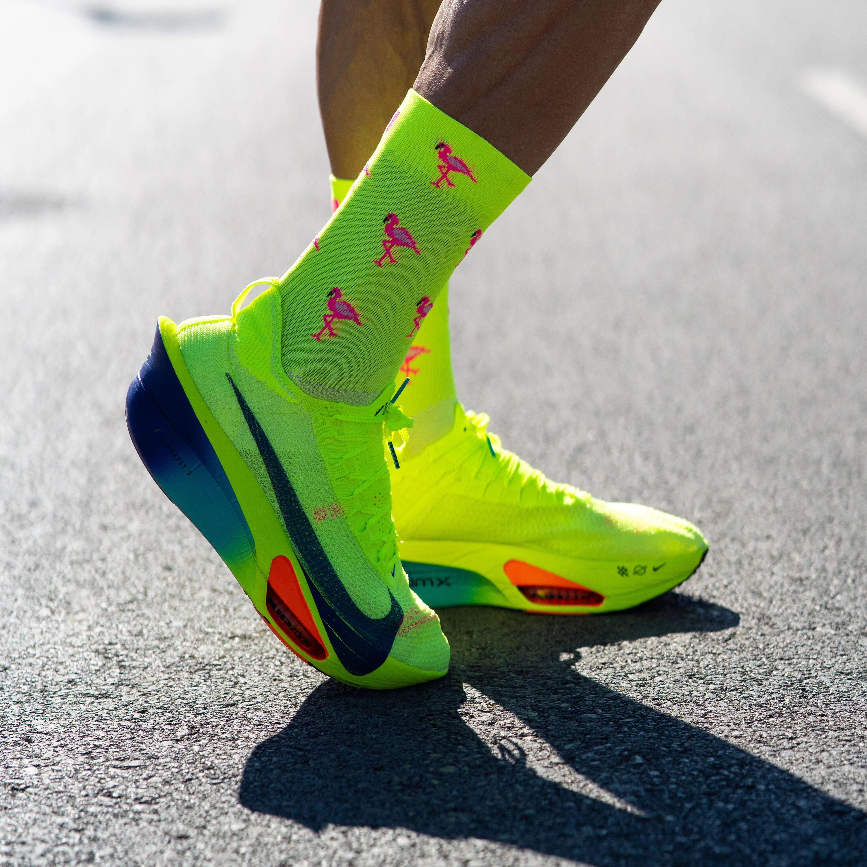 Calze Sporcks Flamingo 2/5