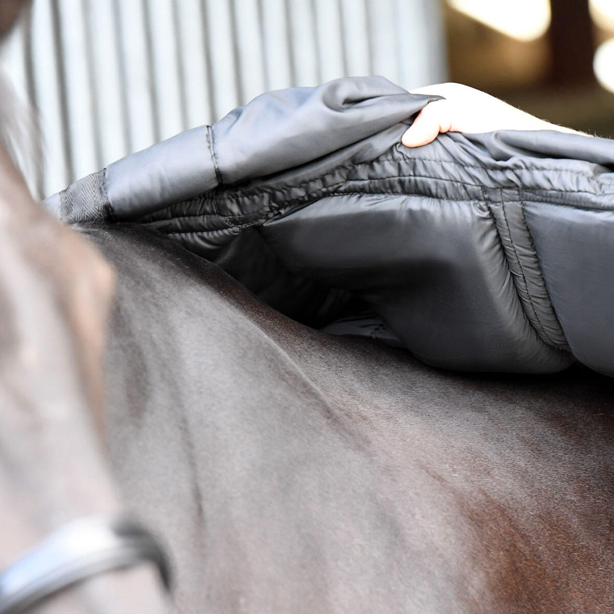 Lightweight horse turnout rug, Fieldmasta 40g dome neck blue 3/3