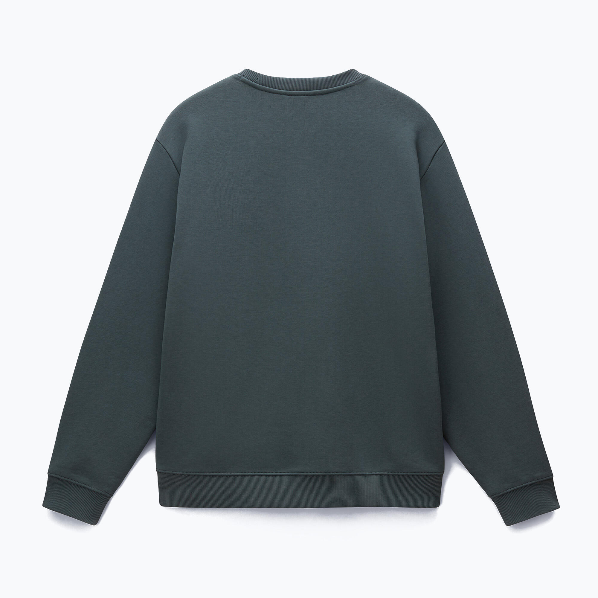Bluza męska Napapijri B-Albula C 5/5