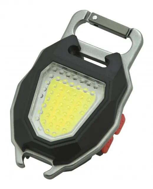 OEM picture