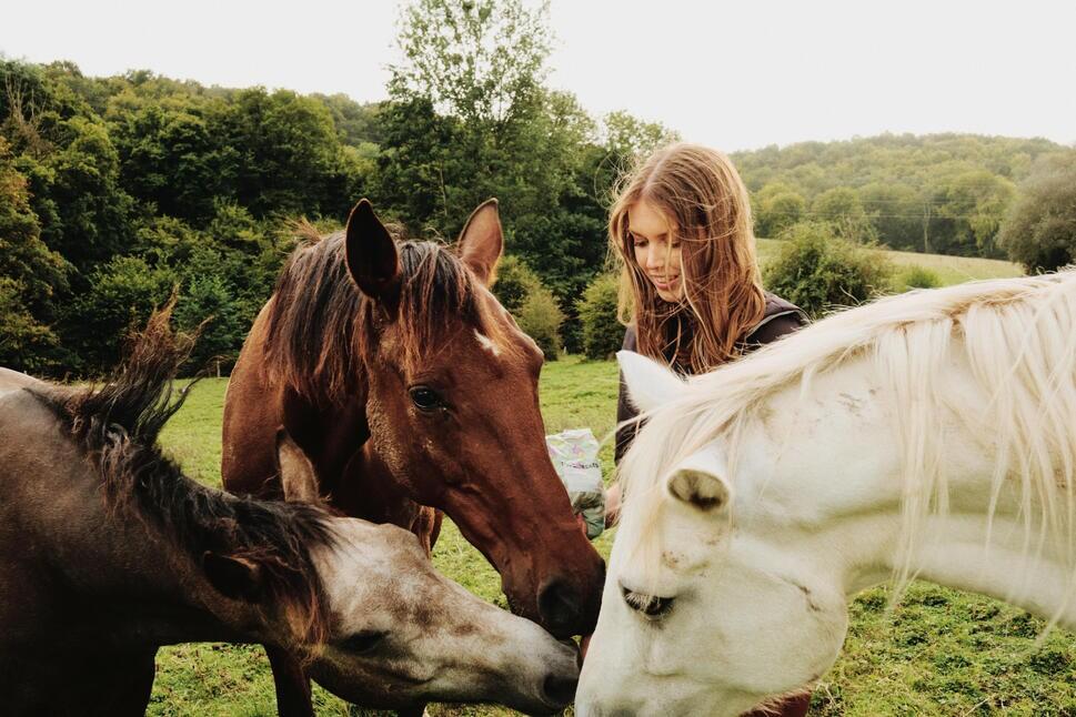 DECATHLON TRAVEL Trektochten te paard op de hoogvlakten van de Vercors