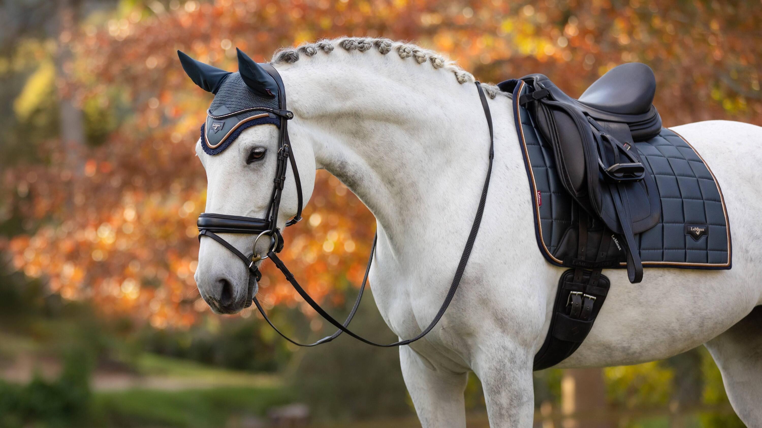 Tapis de dressage Loire Petrole - LEMIEUX 2/7