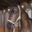 Nylon halster voor het paard HV Polo Nena