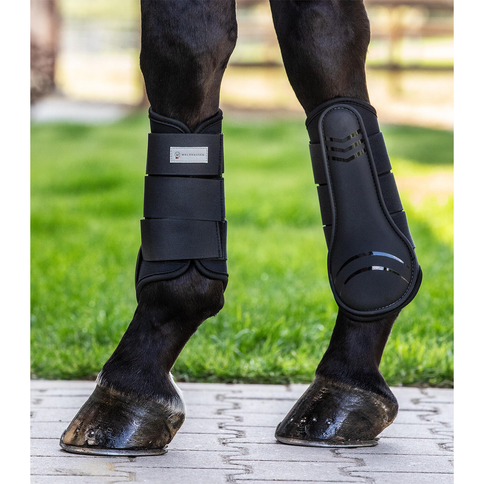 Guêtres pour cheval Waldhausen Basic 2/2
