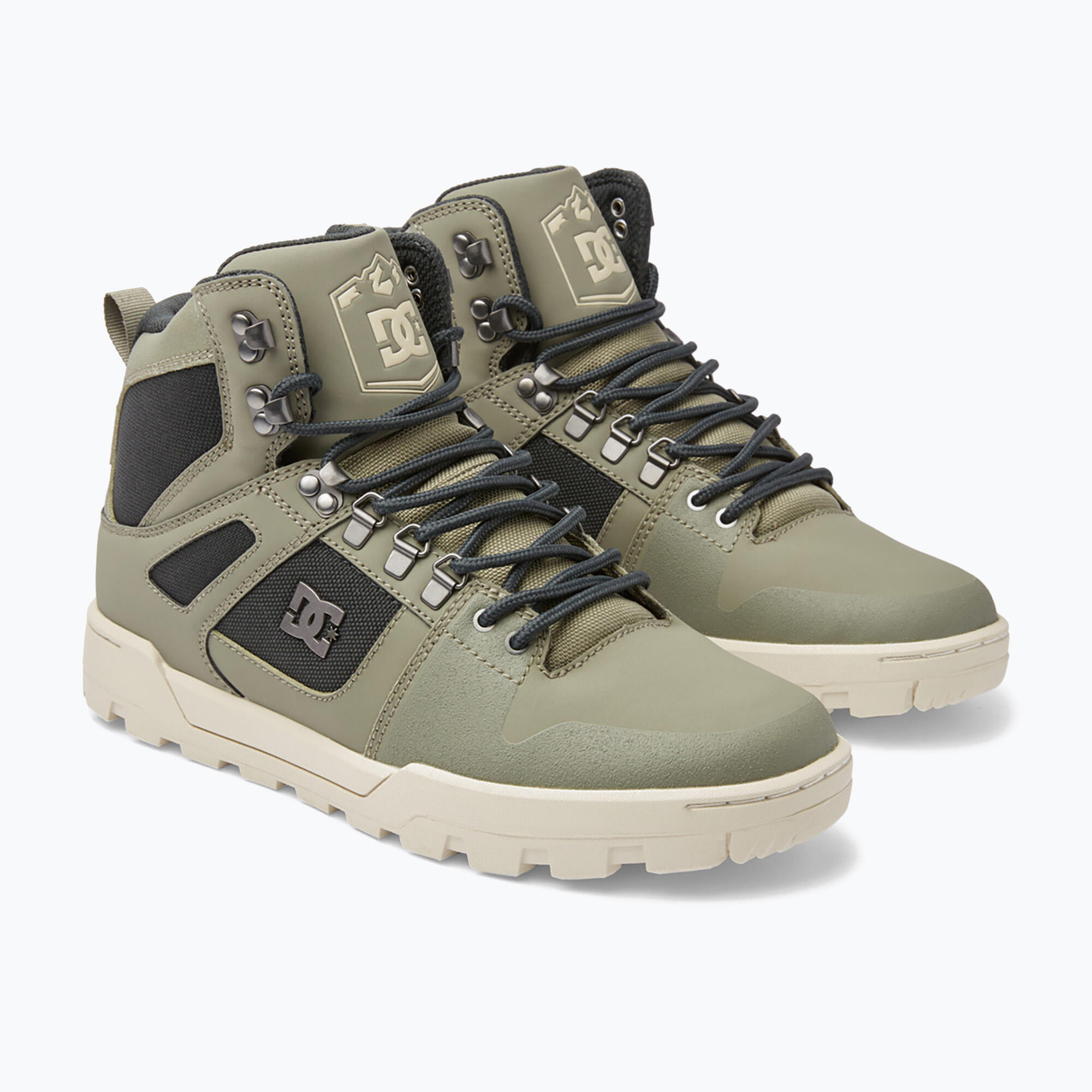 Chaussures homme DC Pure High Top WR 3/5