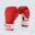Luvas de Boxe 12 OZ Kronos Evo Kombat