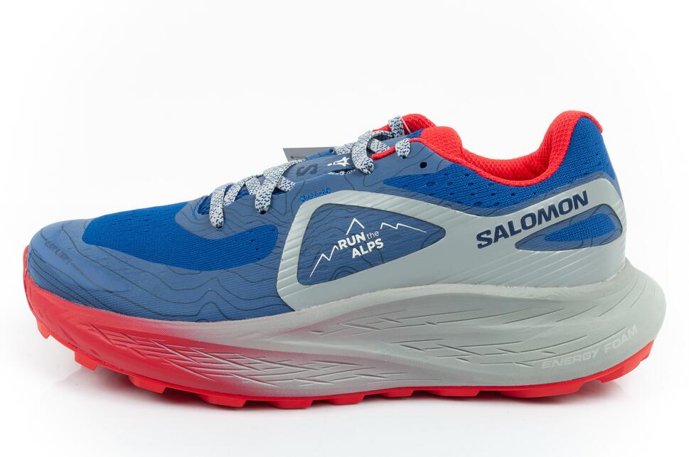Buty sportowe męskie Salomon Glide Max TR Run The Alps