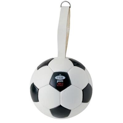 Tremblay voetbal hoofdspeelbal