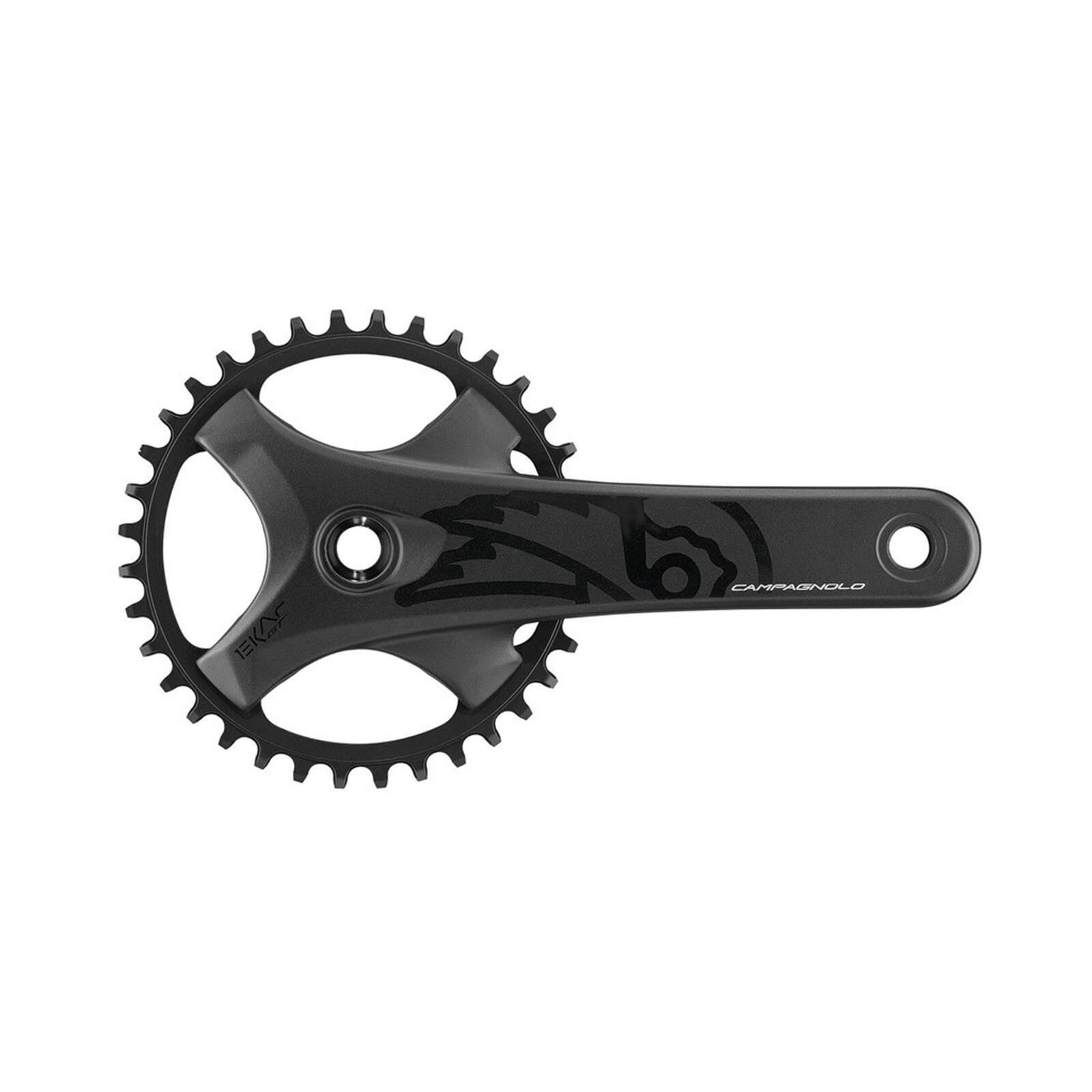 CAMPAGNOLO picture