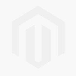 Ballon de basket Wilson NBA Tribute Mini des Raptors de Toronto