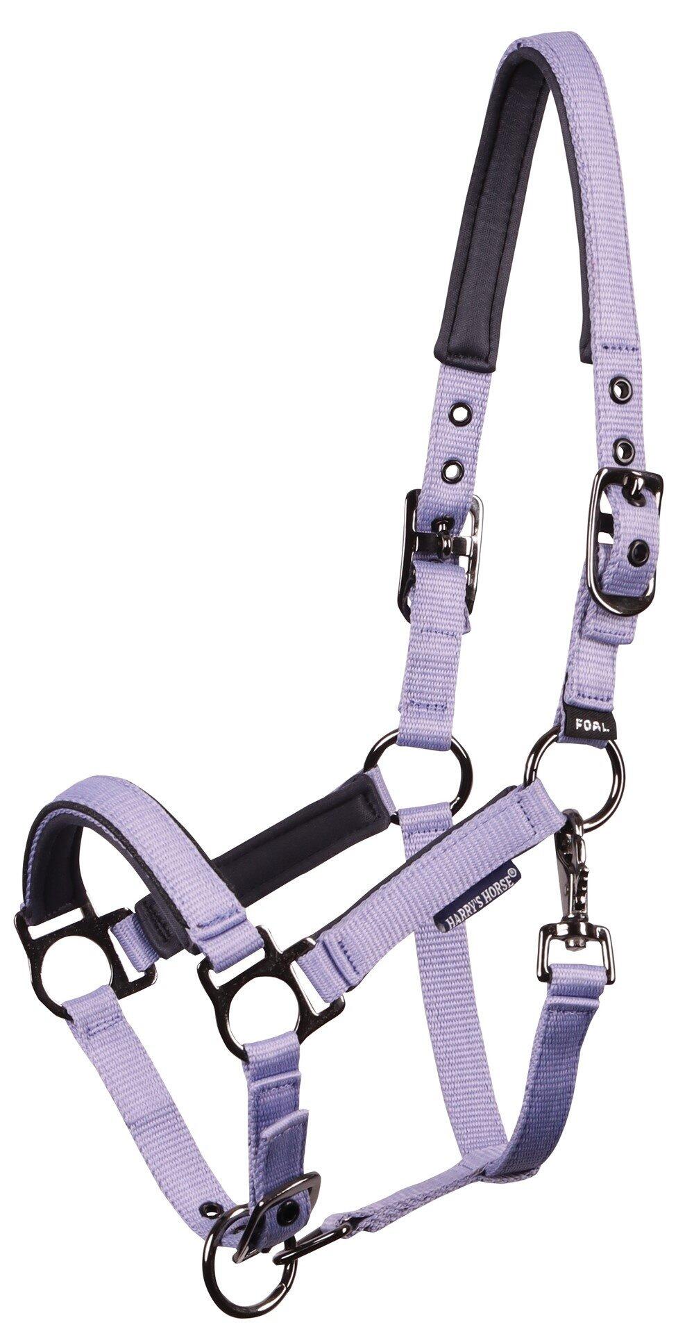 HARRYS HORSE Harry's Horse Veulenhalster Pepper - Persian-Violet