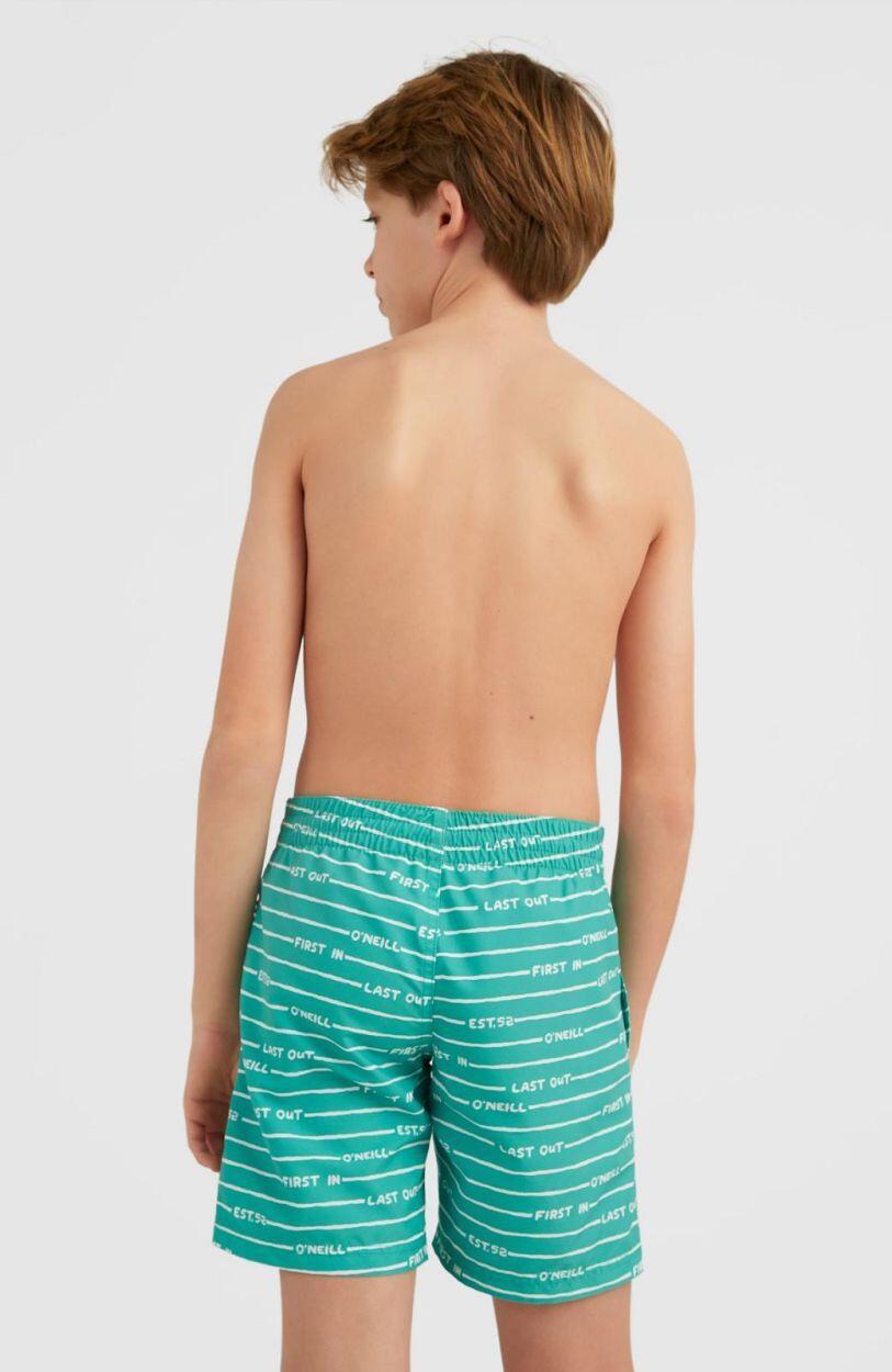 O'NEILL O'NEILL Maillots de bain ALL YEAR 14  Garçons Sea Green Boys First In 5/5