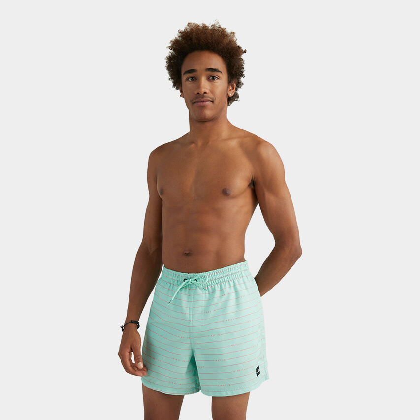 Heren Zwemshort First 15 Striped Terms Lichtblauw 3/5