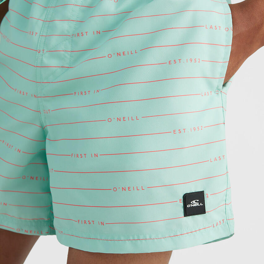 Heren Zwemshort First 15 Striped Terms Lichtblauw 5/5