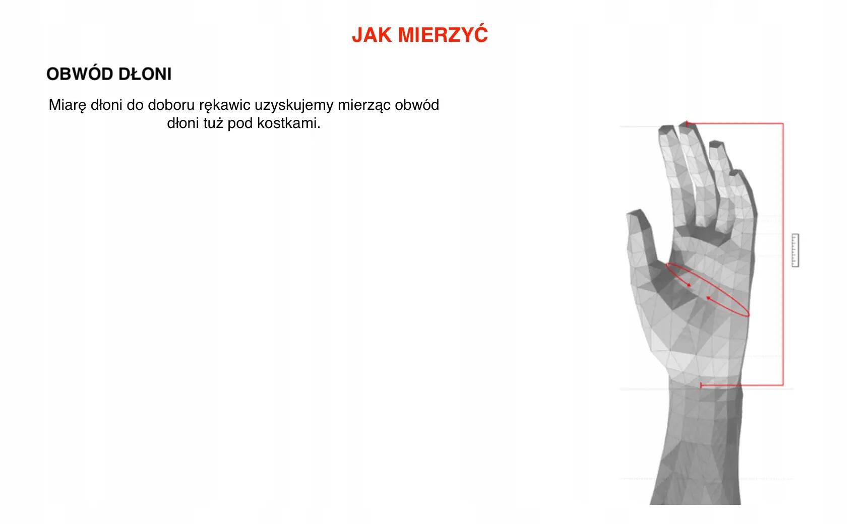 Rękawice rowerowe dla dorosłych Dainese Tactic Gloves 2/3