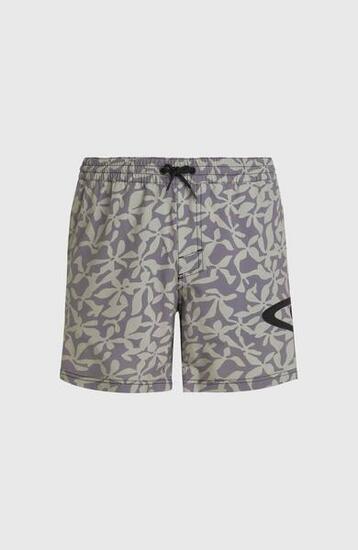 O'NEILL O'NEILL Maillots de bain Hommes Green Seagrass