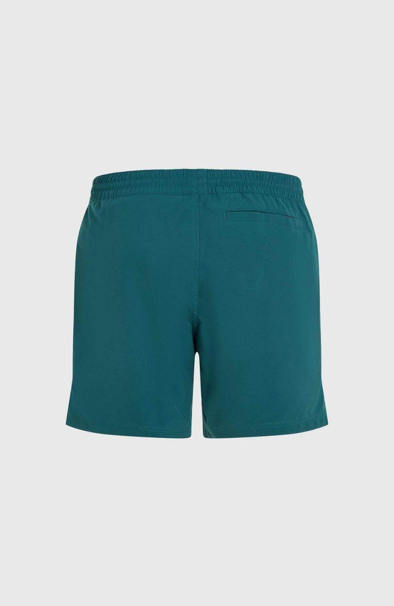 O'NEILL O'neill Zwemkledij ORIGINAL CALI 16'' SWIM SHORTS HEREN Beetle Juice 2/5