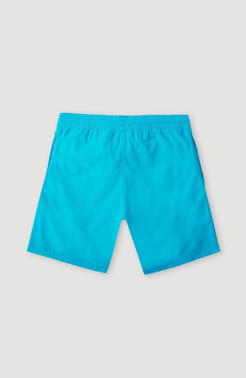O'NEILL O'neill Zwemkledij CALI MELTING 14'' SWIM SHORTS BOYS' Bachelor Button 2/3
