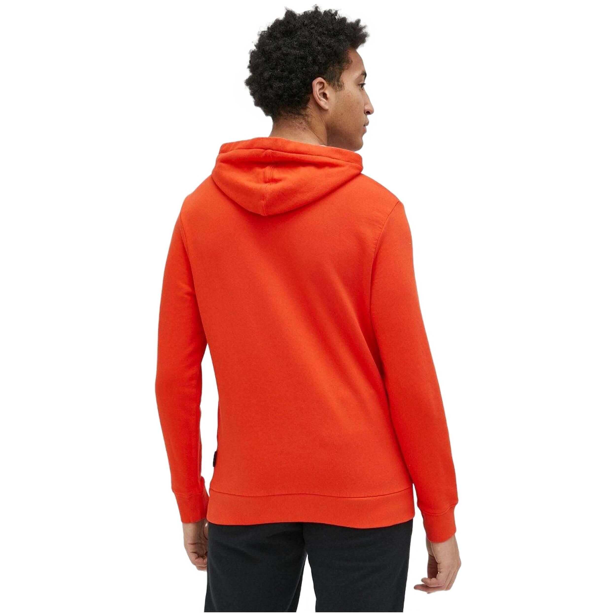 Sudadera con capucha Napapijri modelo NP0A4GBGR051 para hombre 3/5