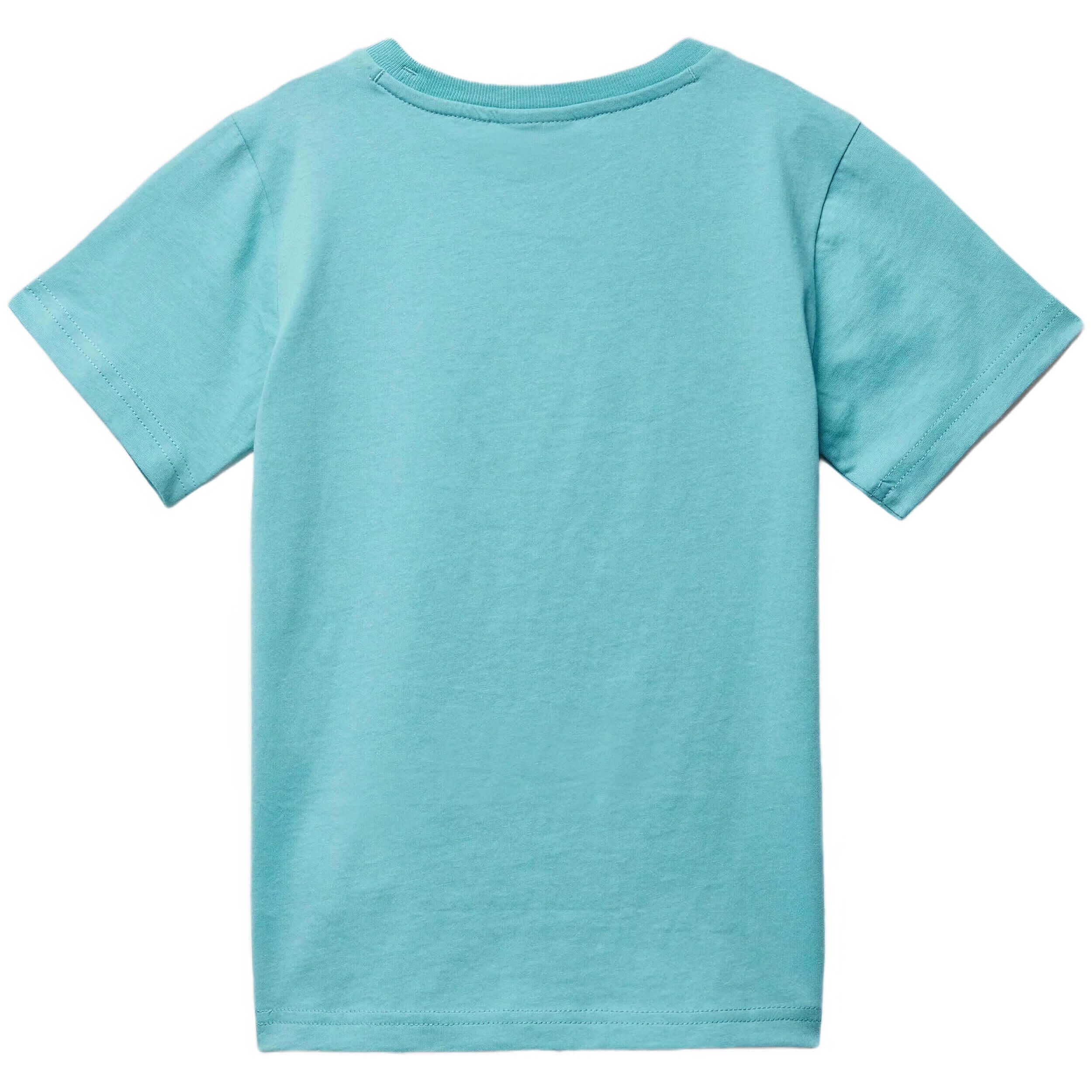 T-shirt Champion modèle 305938-BS148 pour unisexe enfants 2/3
