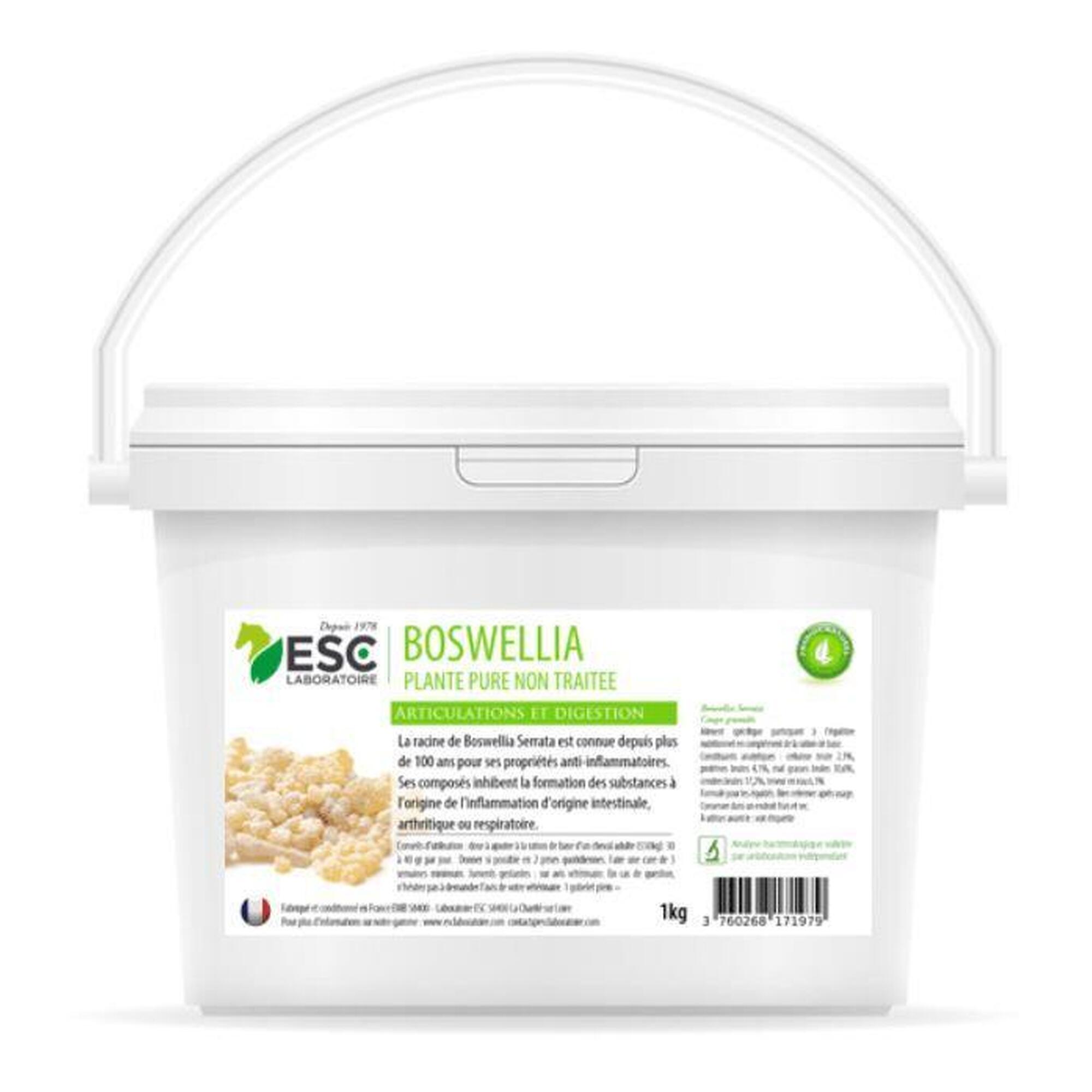 Esc Laboratoire - Boswellia Serrata Articulation Et Respiration - Esc Laboratoire - Argile - 1 Kg - Decathlon