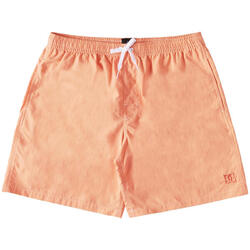 Short Dc shoes Wayford pour homme