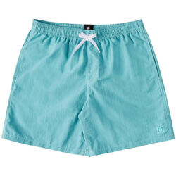 Short Dc shoes Wayford pour homme