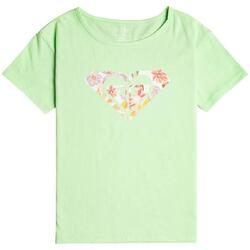 T-shirt Roxy modèle ERGZT03954-GED0 pour filles