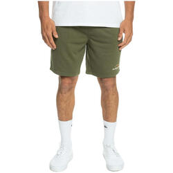 Short Quiksilver modèle EQYFB03318-GPH0 pour homme