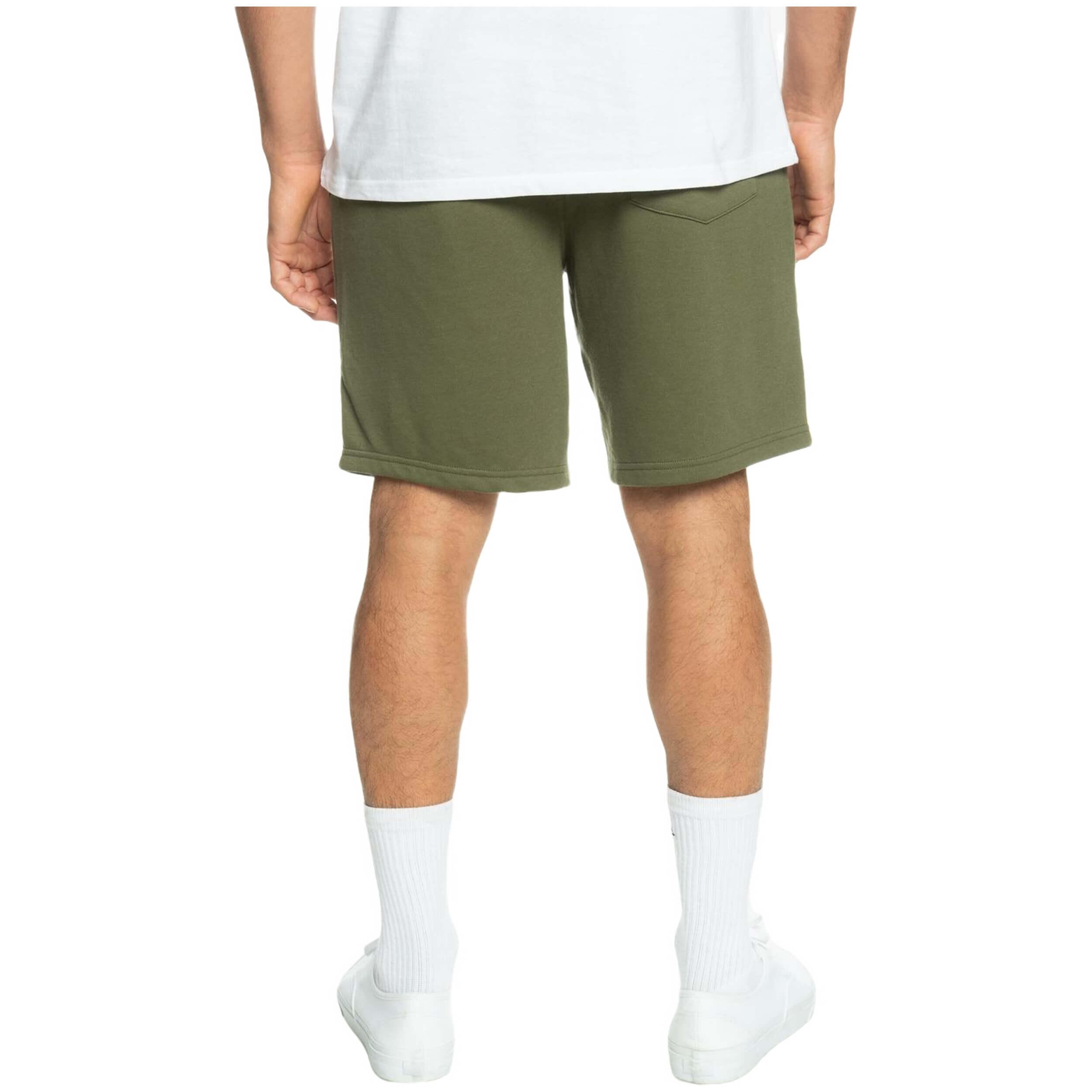 Pantaloncini Quiksilver modello EQYFB03318-GPH0 per uomini 5/5