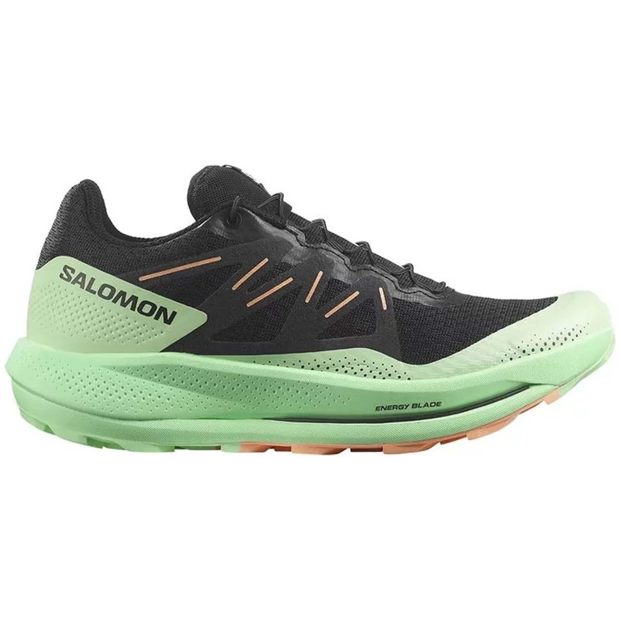 SALOMON picture