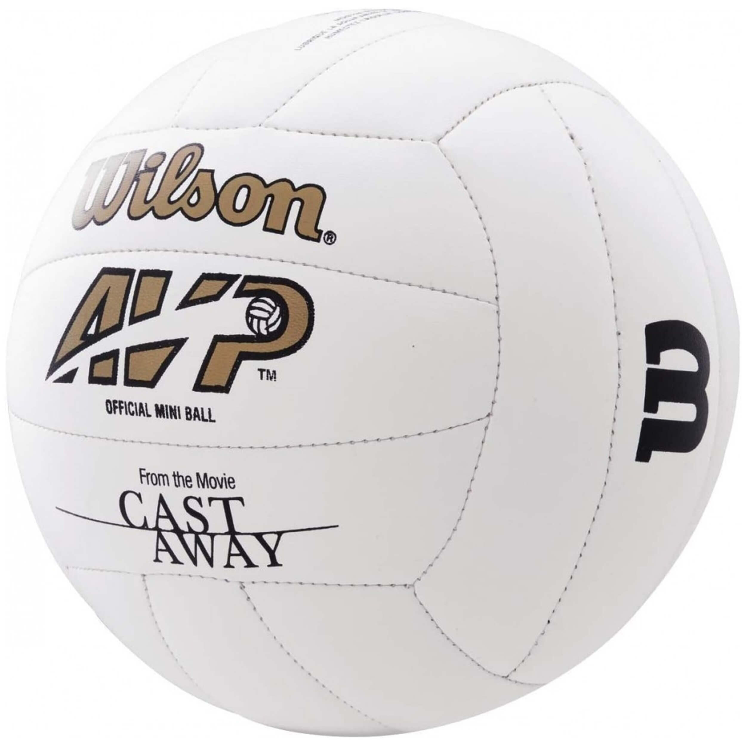 Volleybal Wilson voor unisex 3/5