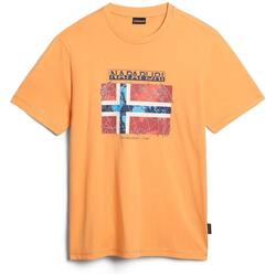 T-shirt Napapijri modèle NP0A4H22A571 pour homme