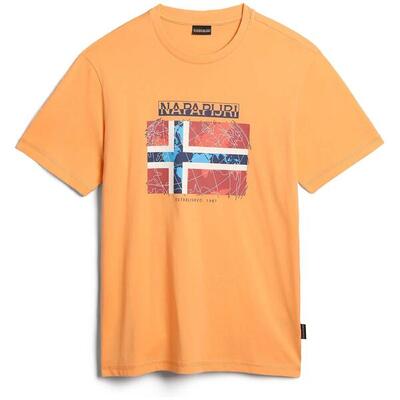 T-shirt met korte mouwen napapijri model np0a4h22a571 voor mannen