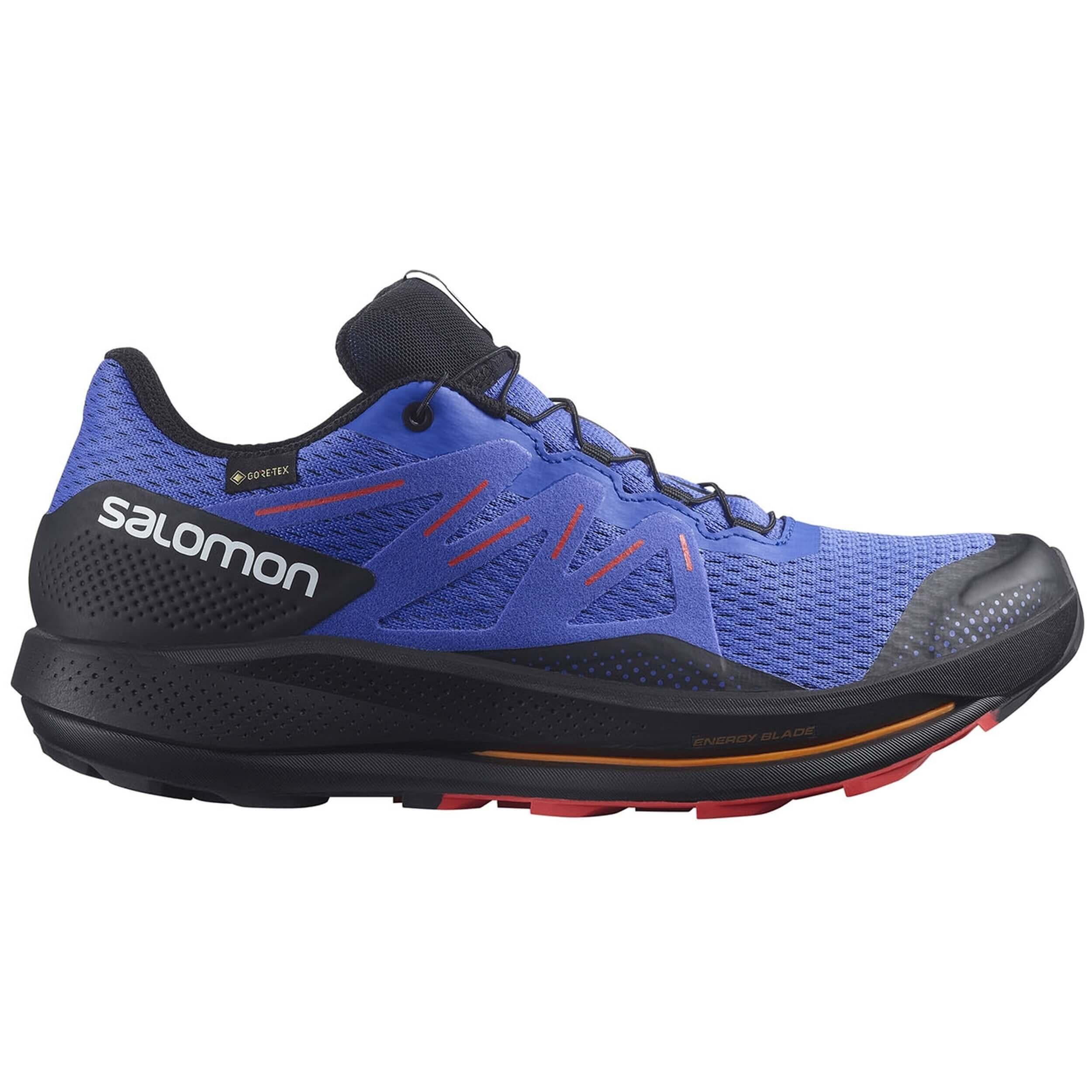 SALOMON picture