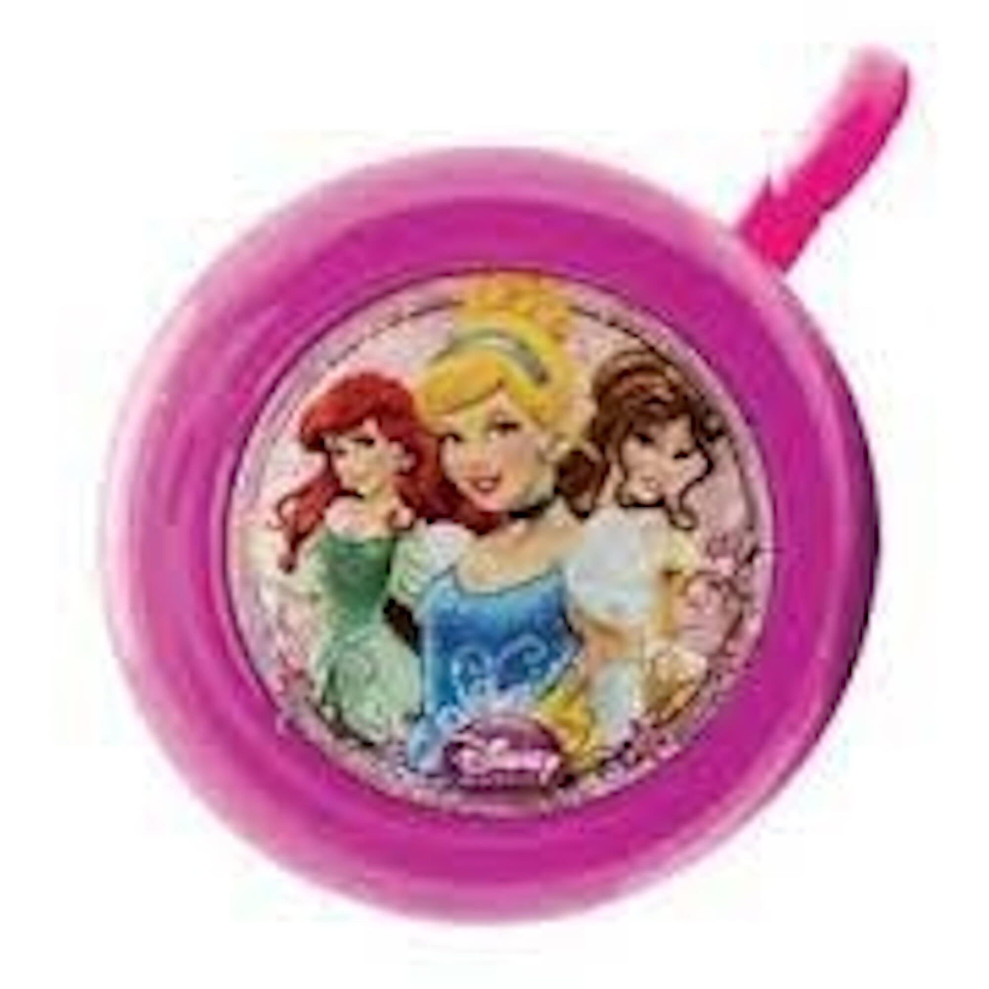 DISNEY PRINCESS picture