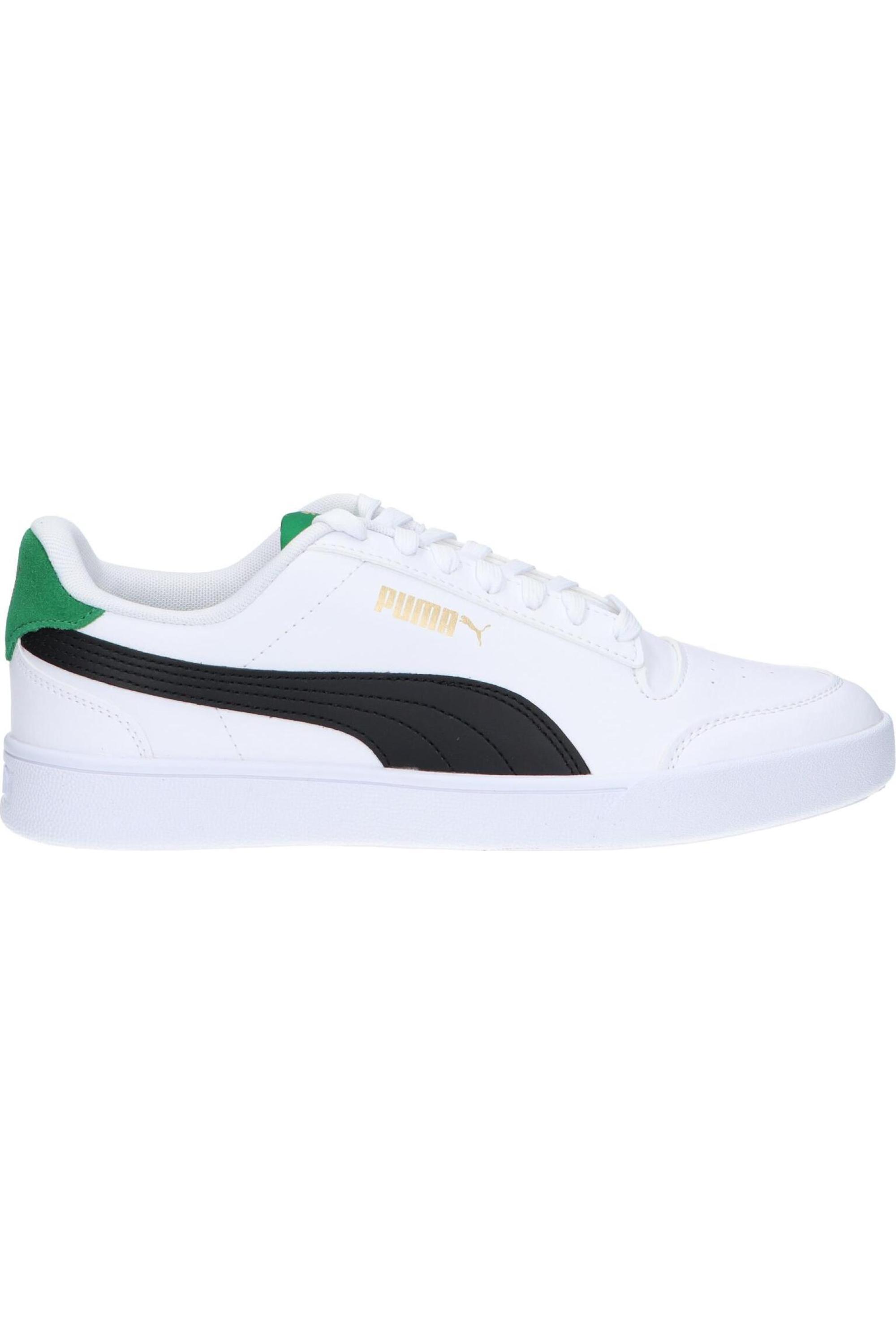 PUMA picture