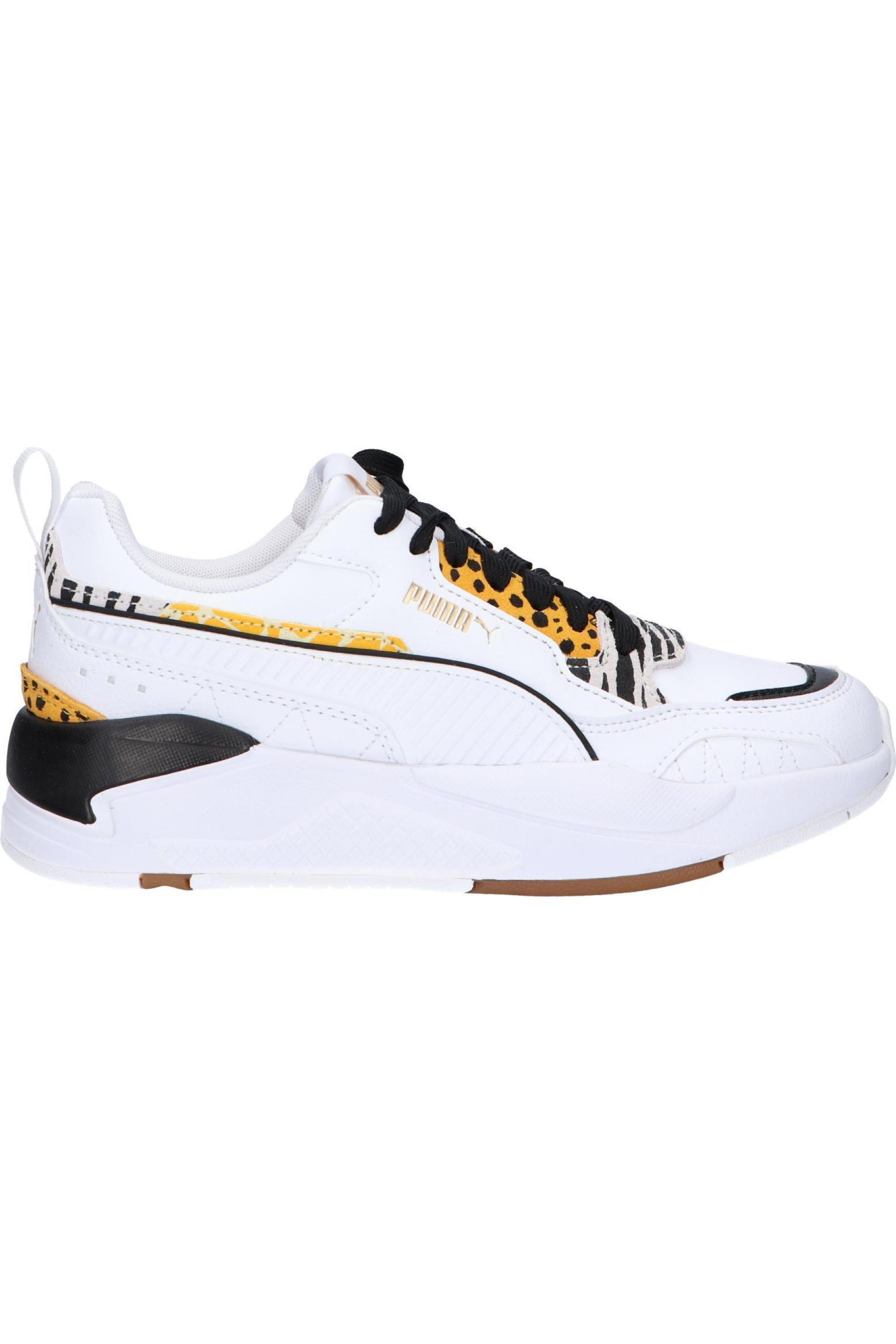 PUMA picture