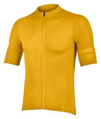 ENDURA picture