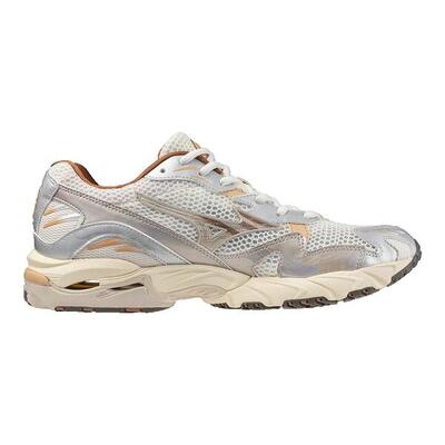 Zapatillas de running Adulto Mizuno Wave 10 Multicolor
