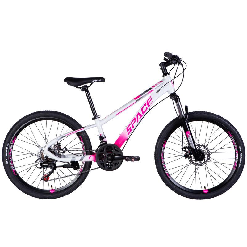 b081b151-90c0-4228-bc41-a611ba71e961_c4c24