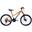 Bicicleta copii Mercury Aluminiu 24", 120-150 cm, 21 viteze, Portocaliu